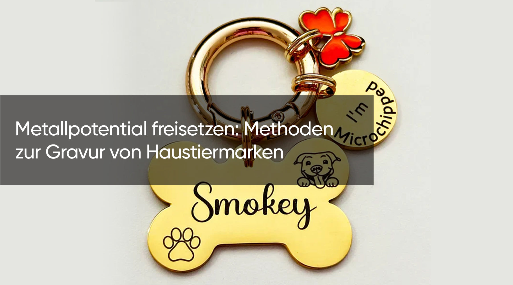 Metallpotential freisetzen: Methoden zur Gravur von Haustiermarken