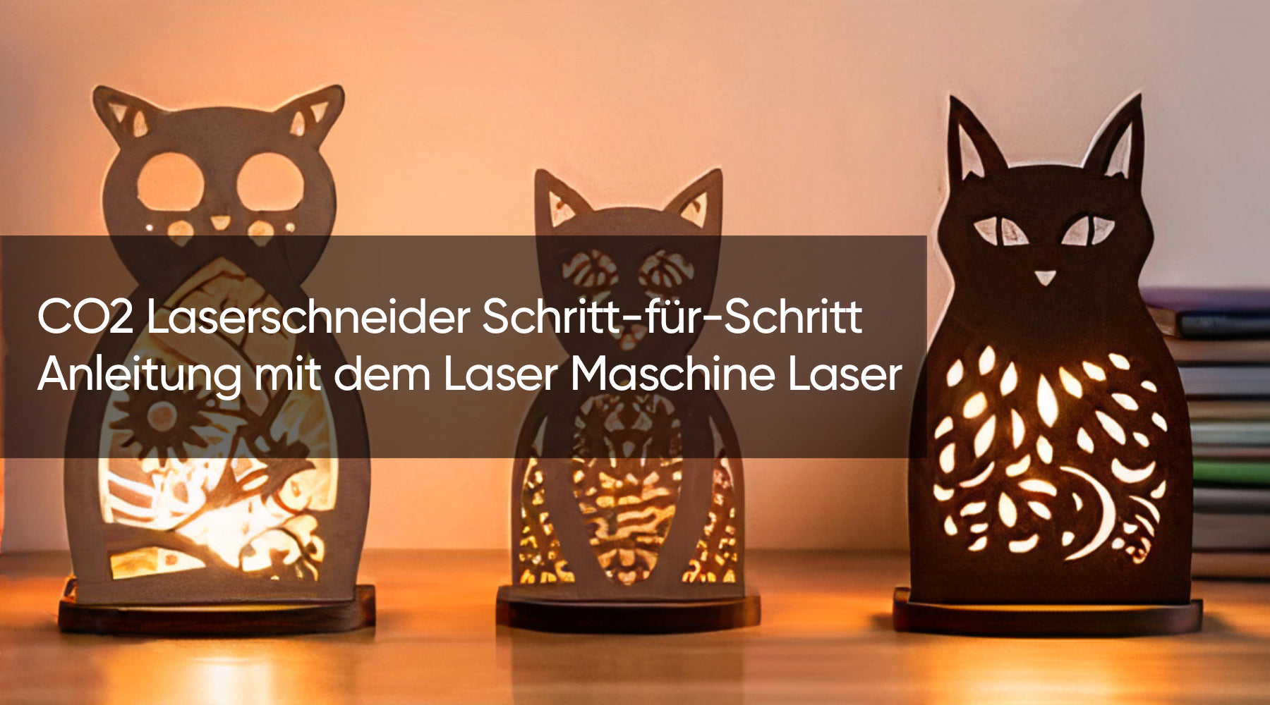 CO2 Laserschneider Schritt-für-Schritt Anleitung mit dem Laser Maschine Laser