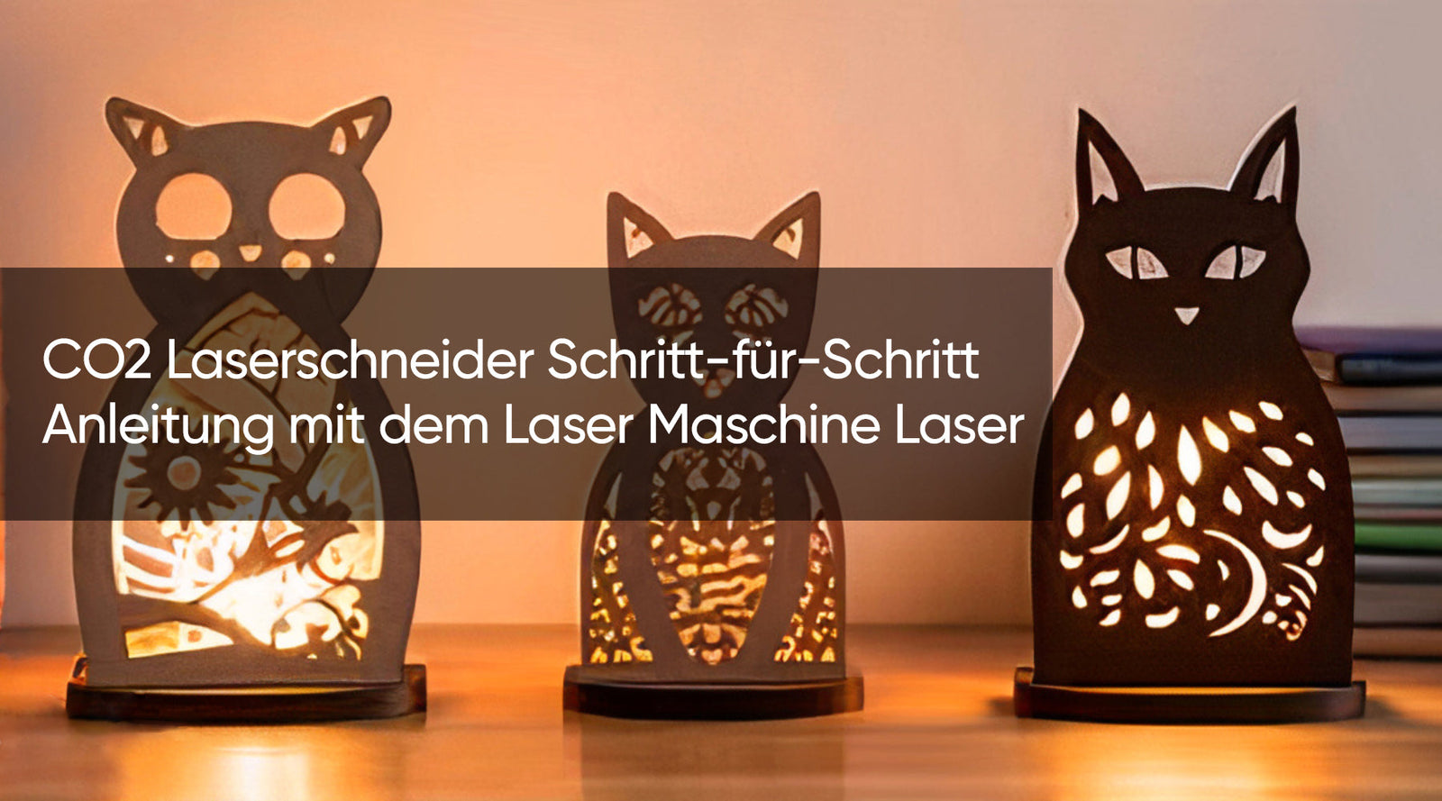 CO2 Laserschneider Schritt-für-Schritt Anleitung mit dem Laser Maschine Laser