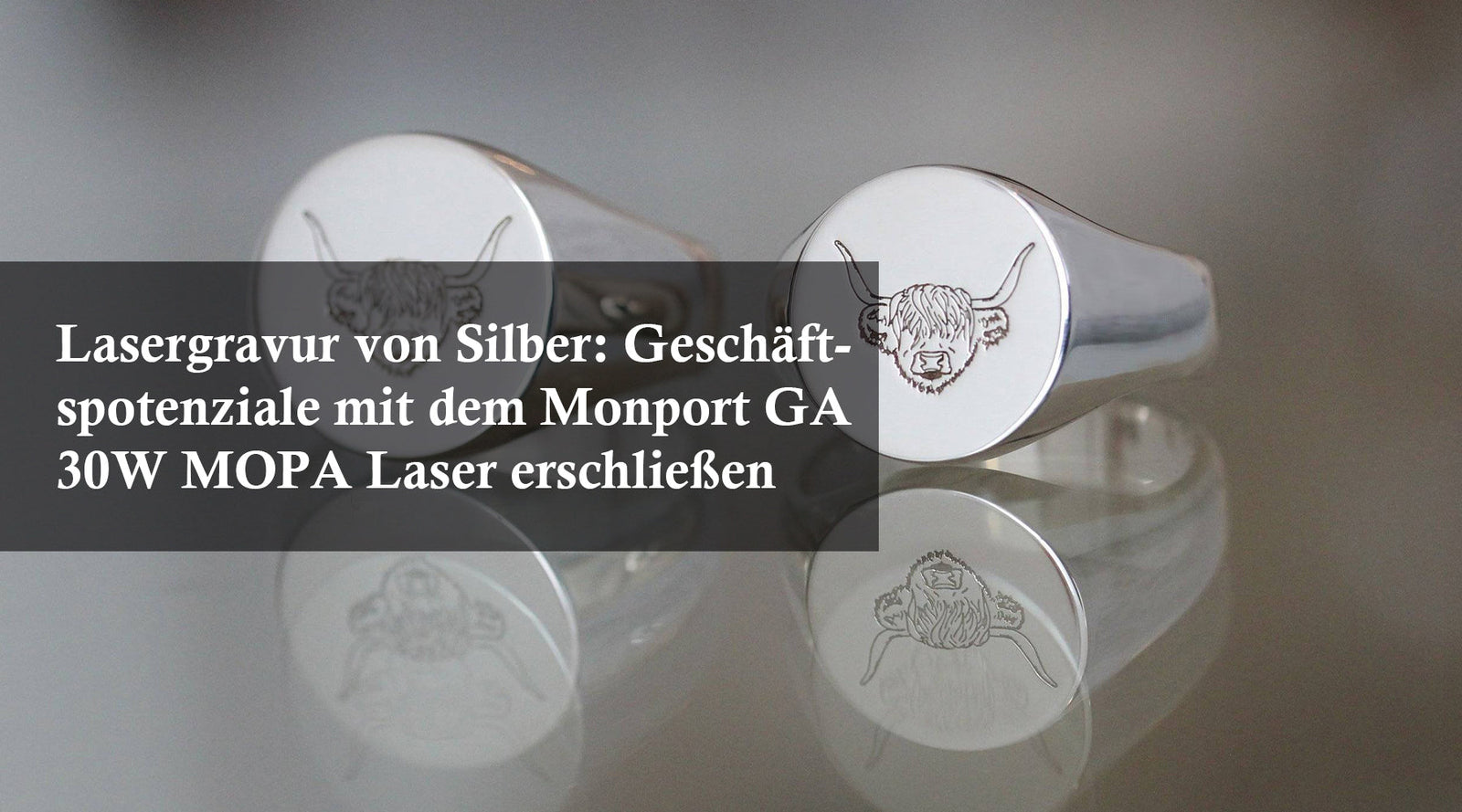  Metall Lasergravierer 